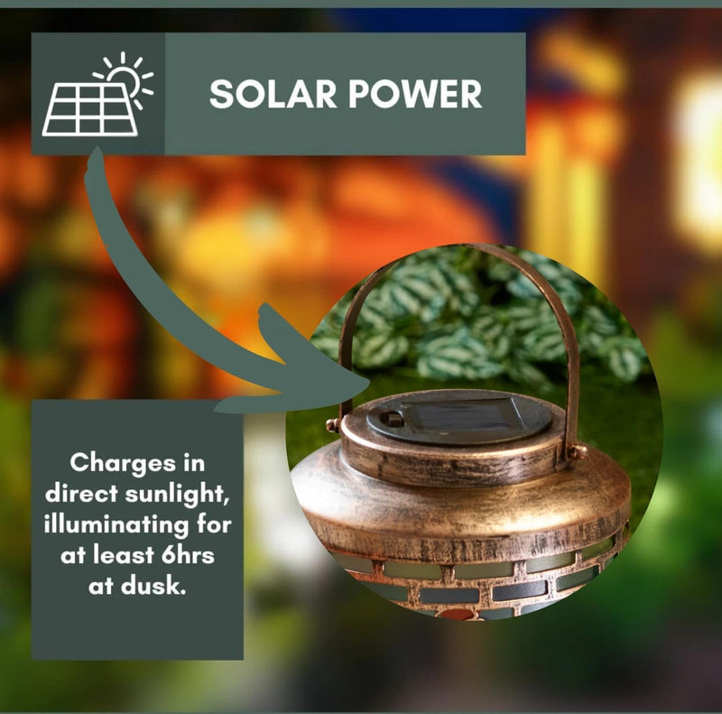 Dragonfly Solar Hanging Lantern with LED Garden Light