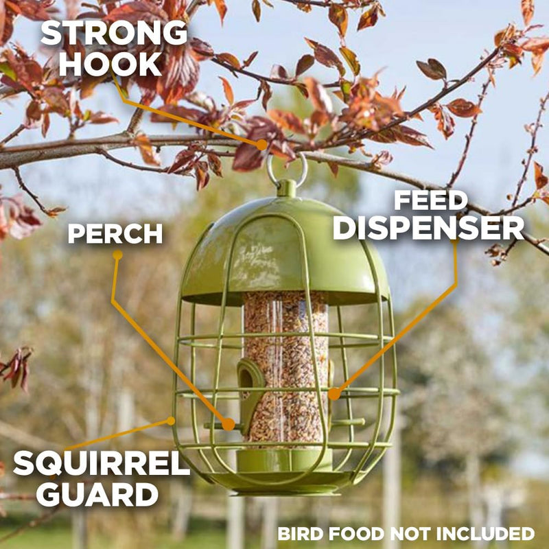 Squirrel Proof Caged Bird Seed Feeder