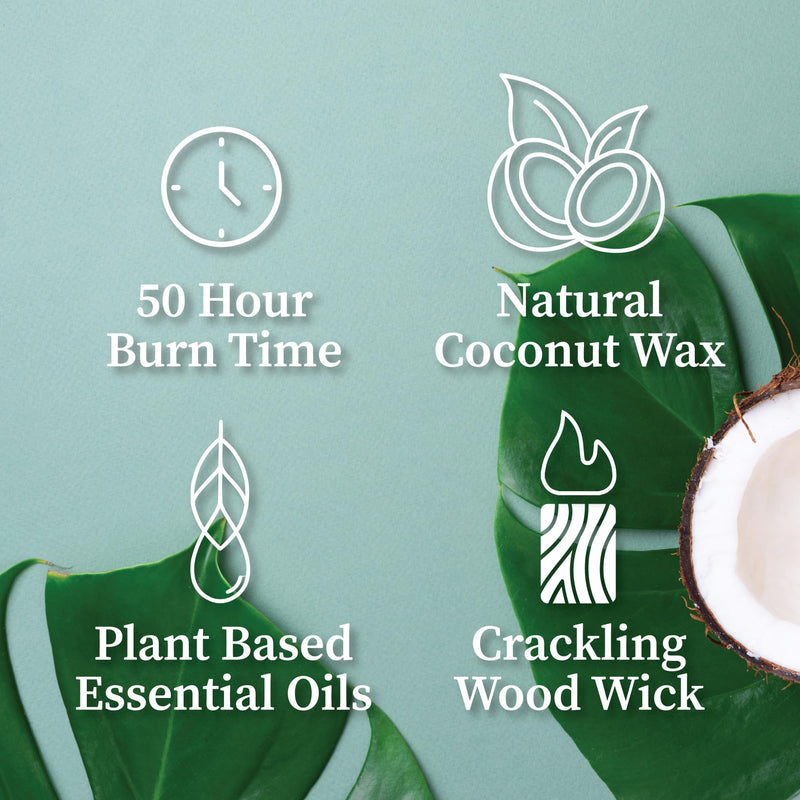 Hemlock Park Amber & Gold Wood Wick Candle | Coconut Wax, Oud Forest (7.2 oz)