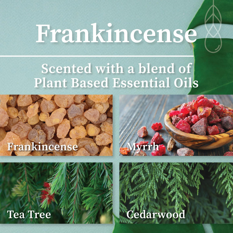 Hemlock Park Crackling Wood Wick Candle – Handcrafted Coconut Wax (8 oz, Frankincense)