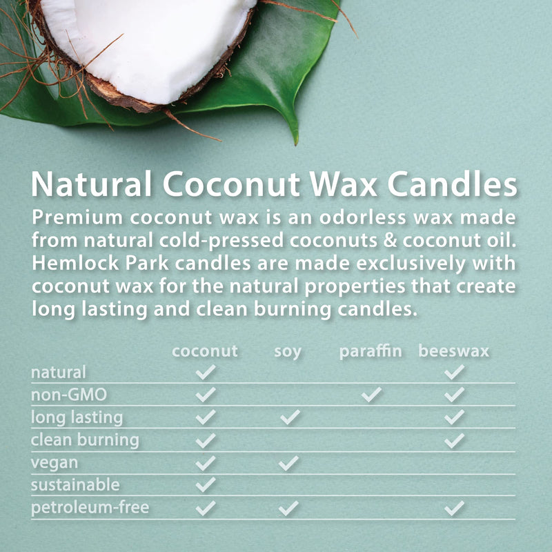 Hemlock Park Crackling Wood Wick Candle – Handcrafted Coconut Wax (8 oz, Oakmoss)