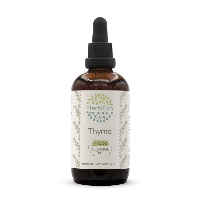 HerbEra Thyme B120 Alcohol-Free Herbal Extract Tincture, 4 fl oz