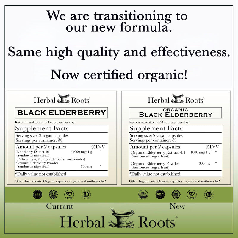 Herbal Roots Organic Black Elderberry Capsules - Max Strength | 60 Vegan Capsules