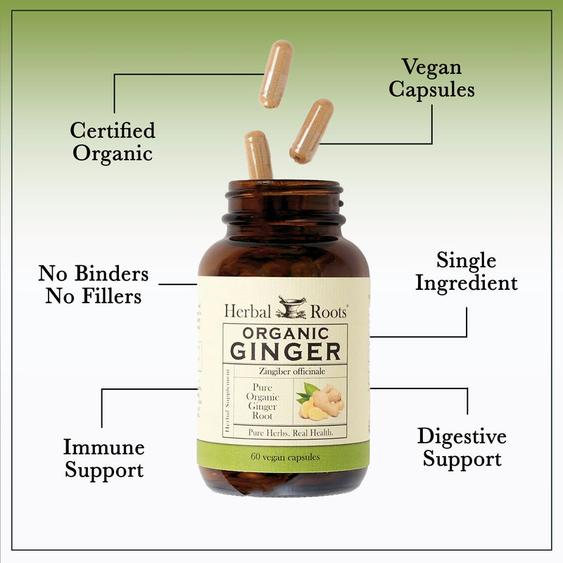 Herbal Roots Ginger Supplement | Organic Ginger Root Capsules | 1,200 mg per Serving