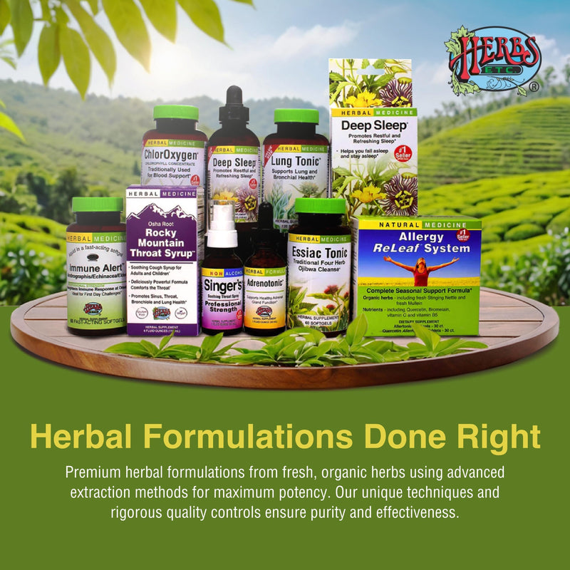 Herbs Etc. ChlorOxygen Chlorophyll Concentrate – High-Concentration Vitality Support (2 Pack, 2 fl oz)