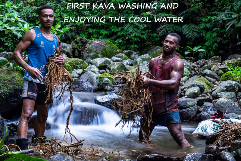 Heritage Kava Premium Fiji Noble Kava Root Powder 8 oz