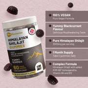 Himalayan Shilajit Gummies 3000mg with KSM-66 Ashwagandha, Vitamin B6 & B12 – 60 Vegan Gummies - InStock