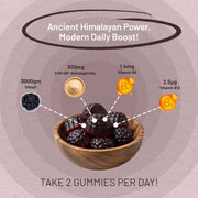 Himalayan Shilajit Gummies 3000mg with KSM-66 Ashwagandha, Vitamin B6 & B12 – 60 Vegan Gummies - InStock