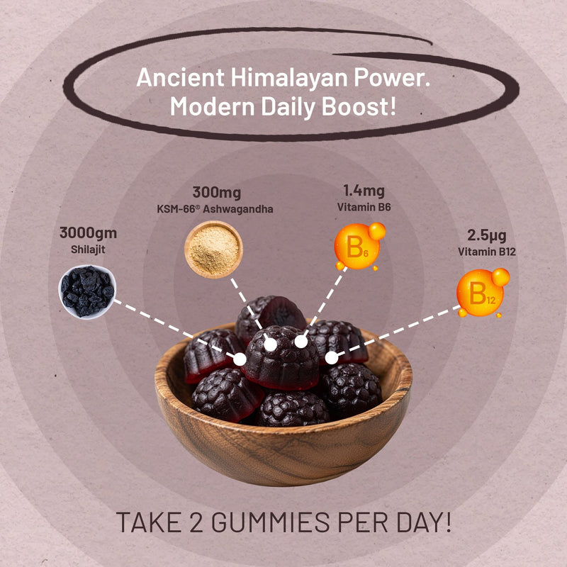 Himalayan Shilajit Gummies 3000mg with KSM-66 Ashwagandha, Vitamin B6 & B12 – 60 Vegan Gummies - InStock