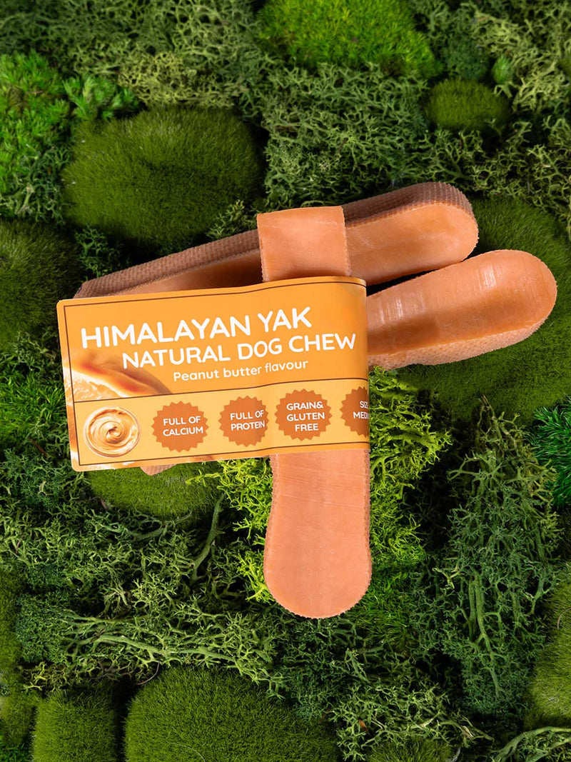 Peanut Butter Yak Dog Chew