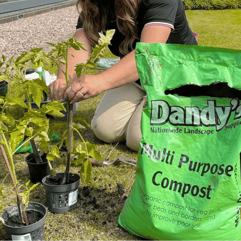 Multi Purpose Welsh Compost