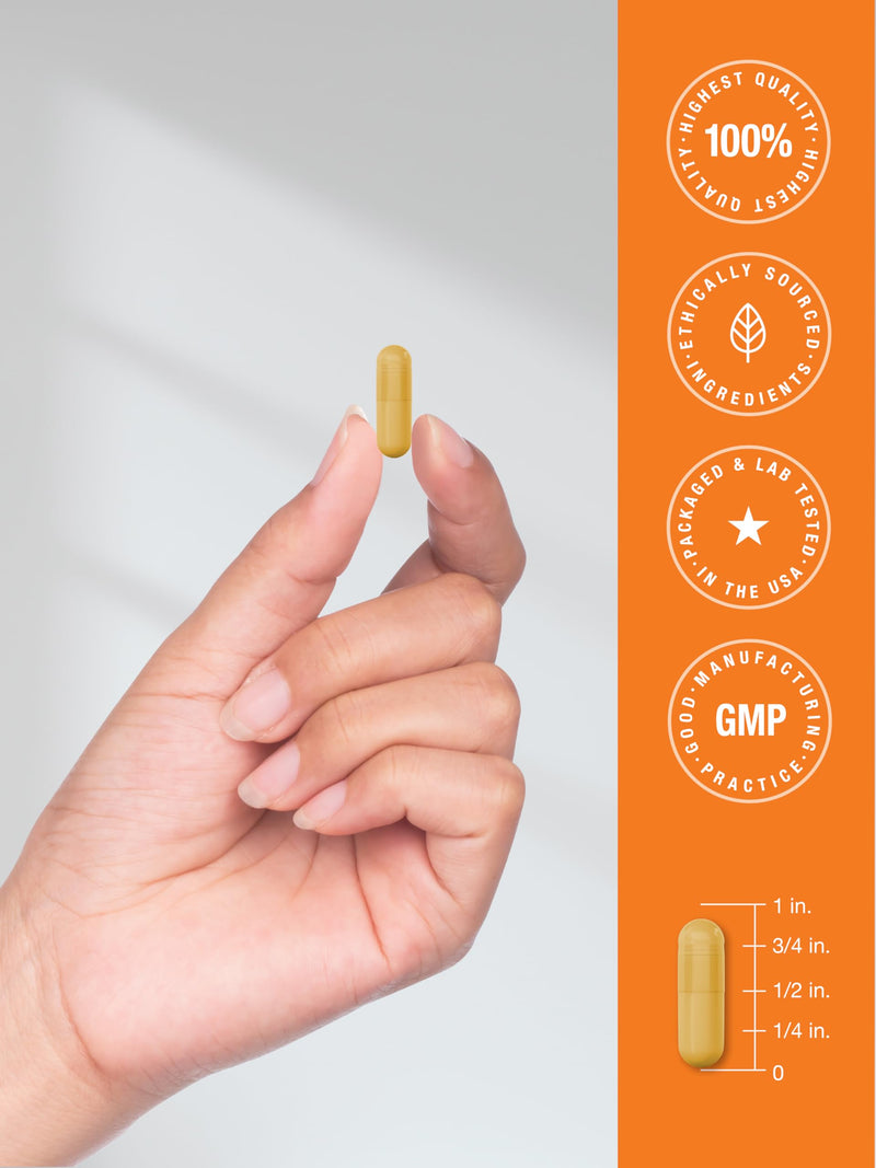 Horbäach B-100 Complex Vitamin – 60 Capsules | Non-GMO & Gluten Free