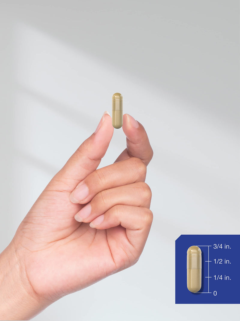 Horbäach Huperzine A 400mcg | 180 Capsules | Non-GMO, Gluten Free Supplement