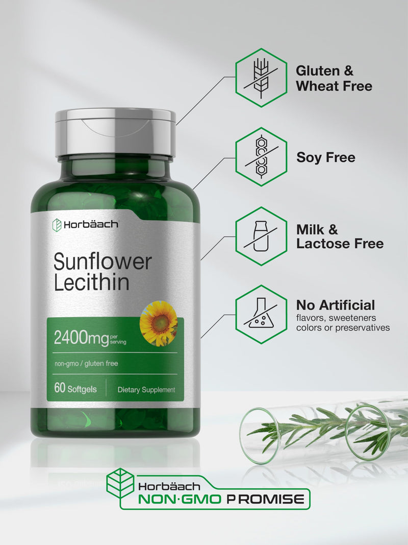 Horbäach Sunflower Lecithin Softgel Capsules 2400mg | 60 Softgels | Non-GMO Gluten Free