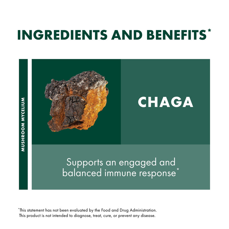 Host Defense Chaga Powder – Immune Support & Antioxidant Mushroom Supplement | 3.5 oz (66 Servings)