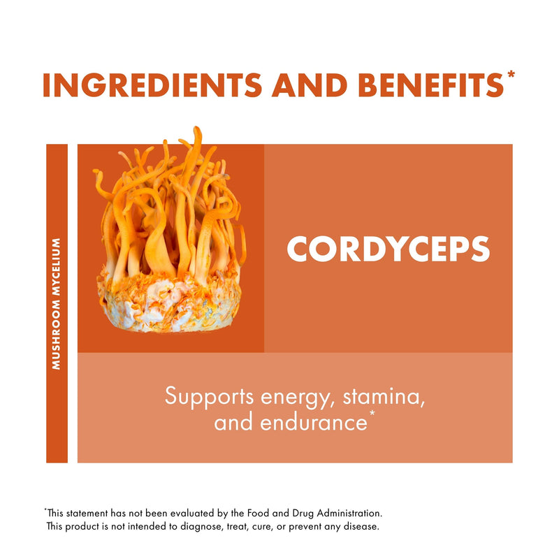Host Defense Cordyceps Capsules – Immune & Energy Support (30 Capsules)