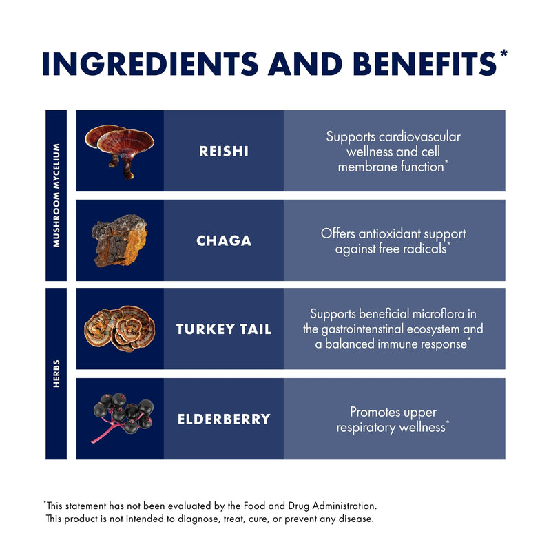Host Defense Elderberry Plus Syrup - Immune & Respiratory Support Mushroom Supplement with Turkey Tail, Reishi, Agarikon & Chaga | 4 fl oz (12 Servings) Pack of 2
