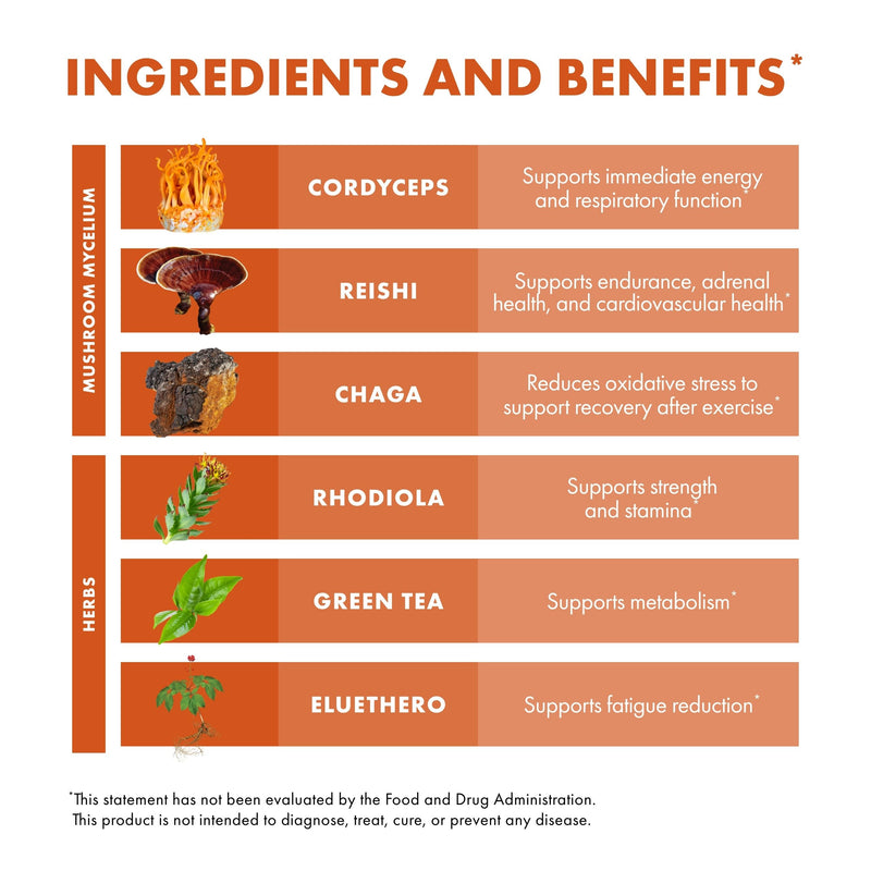 Host Defense MycoBotanicals Energy Capsules – Energy & Respiratory Support (Cordyceps, Reishi & Chaga) – 60 Capsules