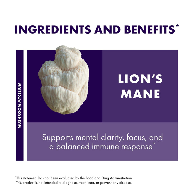 Host Defense Lion's Mane – Brain Health & Focus Support (60 Capsules)