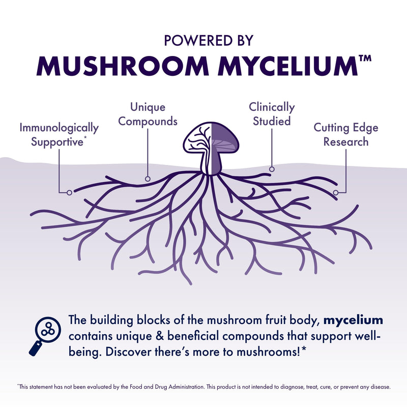 Host Defense Mushrooms Lion's Mane – Brain Health & Focus Capsules (30 Capsules / 15 Servings)