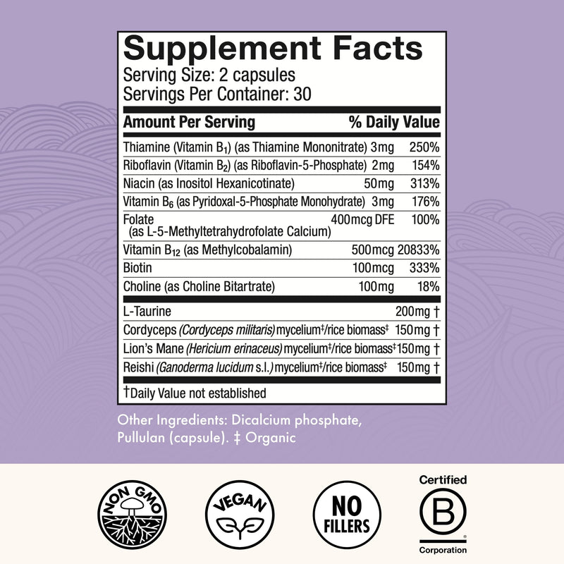 Host Defense MycoBenefits Focus Capsules – Brain Health Mushroom Supplement with Lion's Mane, Reishi & B Vitamins | 60 Capsules (30 Servings)