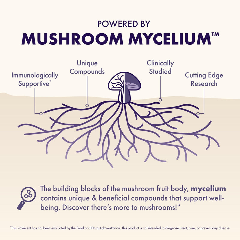 Host Defense MycoBenefits Focus Capsules – Brain Health Mushroom Supplement with Lion's Mane, Reishi & B Vitamins | 60 Capsules (30 Servings)