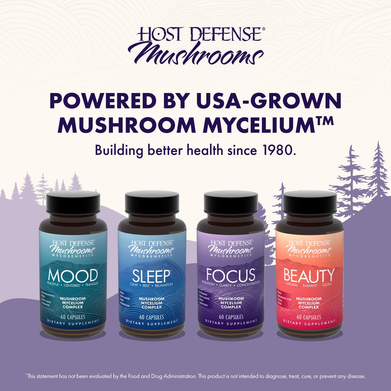 Host Defense MycoBenefits Focus Capsules – Brain Health Mushroom Supplement with Lion's Mane, Reishi & B Vitamins | 60 Capsules (30 Servings)