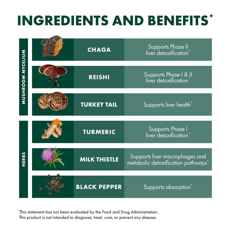 Host Defense MycoBotanicals Liver* Capsules - Liver Health Supplement with Milk Thistle & Turmeric Root - Mushroom Supplement with Turkey Tail, Reishi & Chaga - 60 Capsules (30 Servings)*