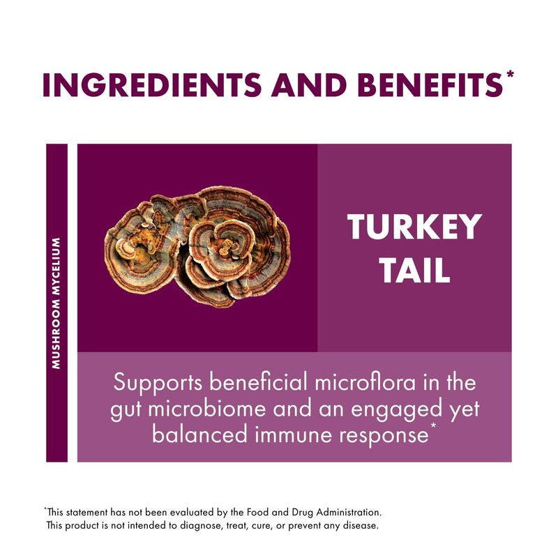 Host Defense Turkey Tail Capsules – Digestive Health & Immune Support | 60 Capsules