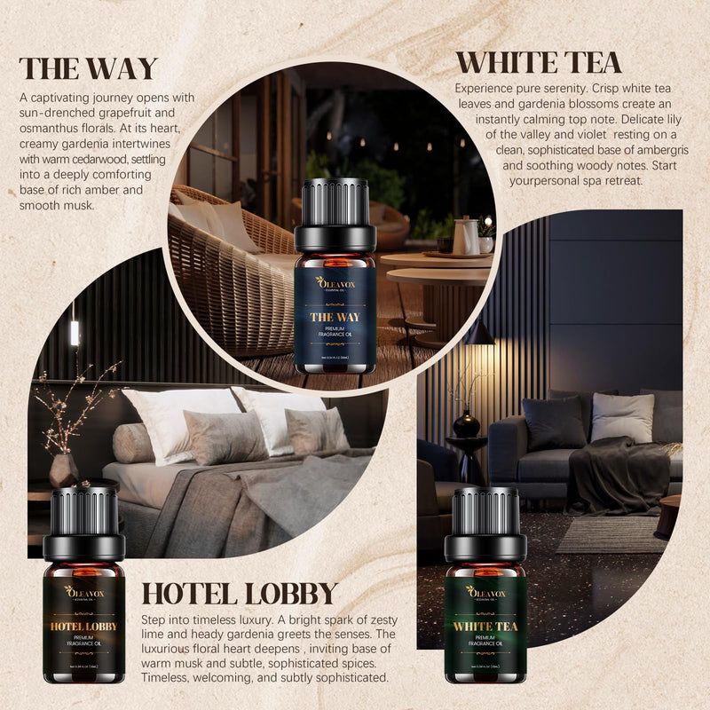 Hotel Diffuser Oils Gift Set – Luxury Fragrance Oils for Diffusers (Jasmine & Mint, White Tea, The Way)