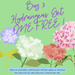 hydrangea_offer_pic.png