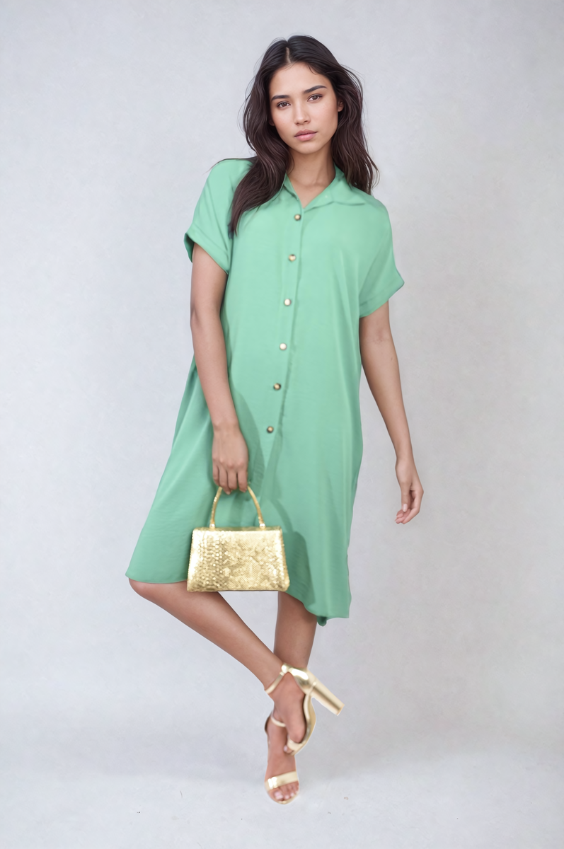 ikrush-julianna-button-front-shirt-dress-1711530962-DSC3941.png