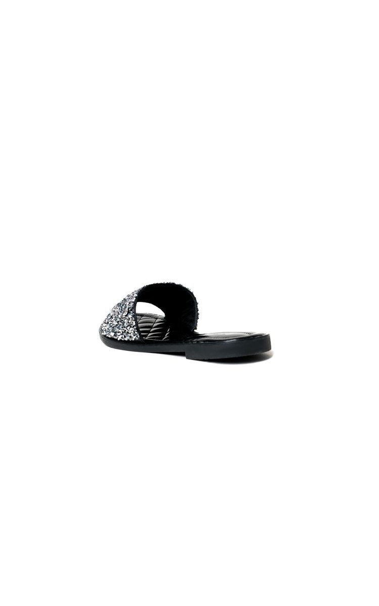 ikrush-sofie-embellished-slip-on-sandals-1581348226DSC-6860.jpg