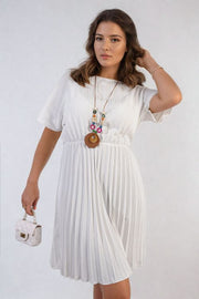 ikrush-teresa-short-sleeve-pleated-midi-dress-1717523543-DSC8519.png