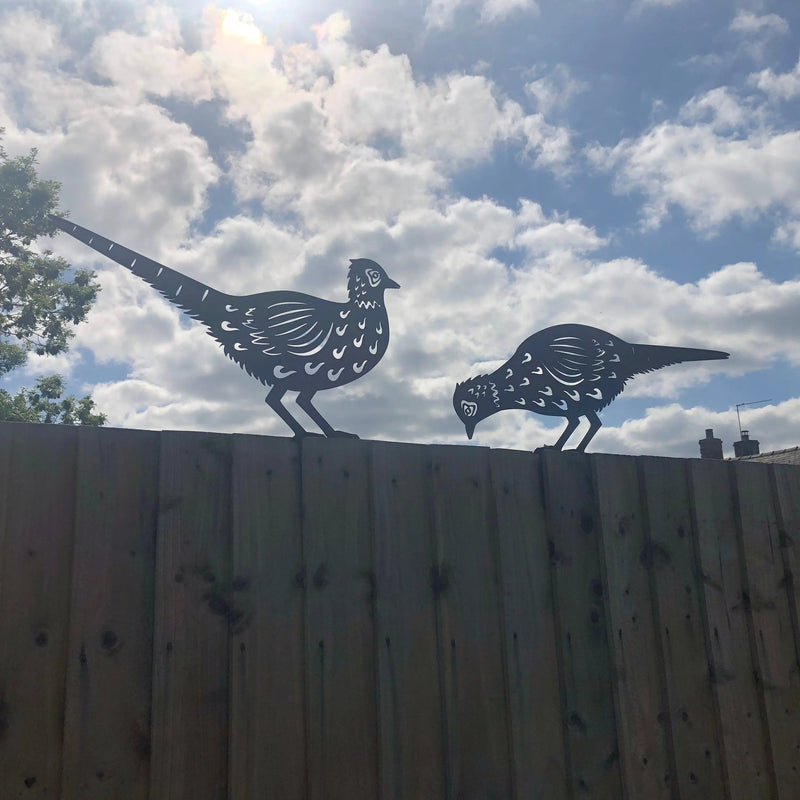 2 Rusty Metal Pheasants Garden Pheasants