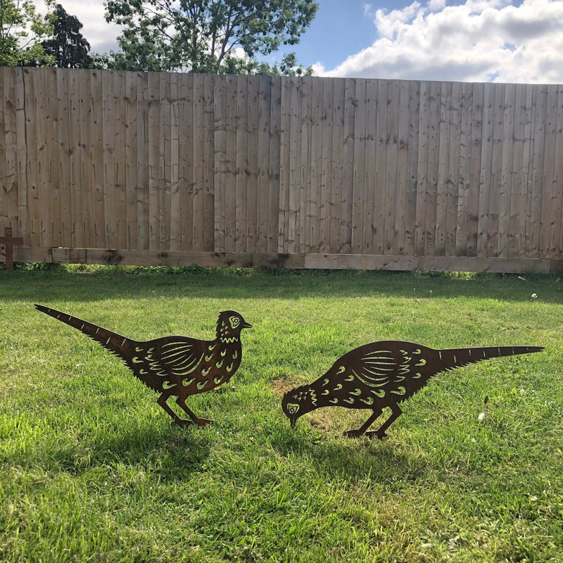 2 Rusty Metal Pheasants Garden Pheasants