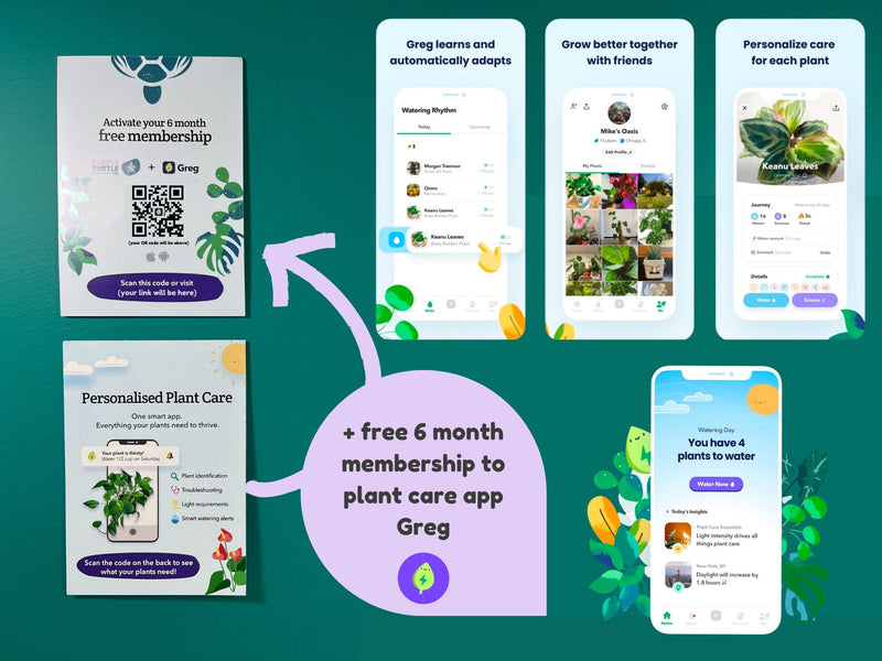 Plant Propagation Gift Set #7