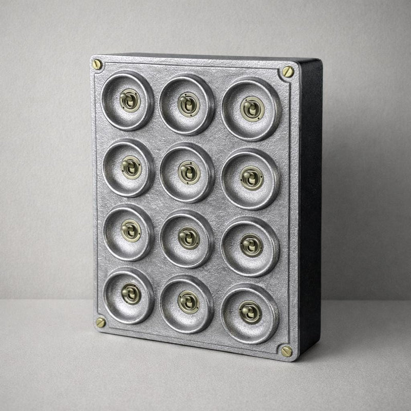 12 Gang 2 Way Cast Aluminium Industrial Toggle Switch Light Panel