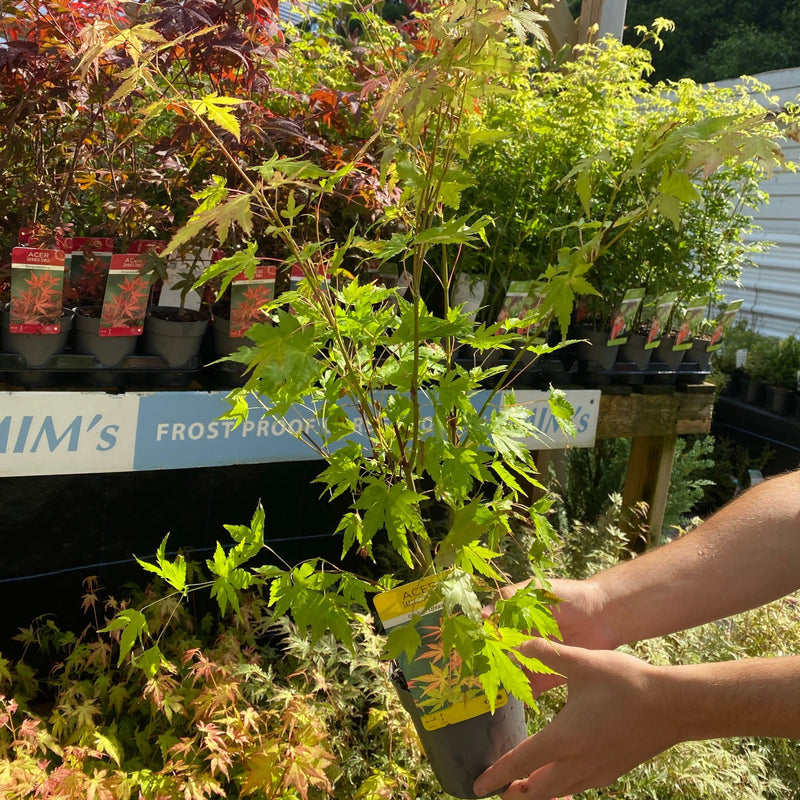 image_346940da-5751-43f7-88df-970d7363ff6c.jpg