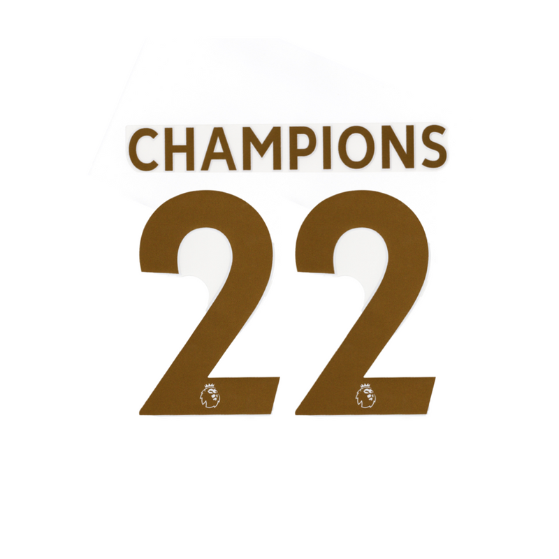 Champions 22 Player Size Official Name sets - Adult (Manchester City)