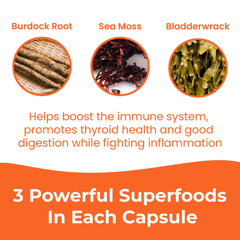 INFINITE AGE Sea Moss Capsules 3 Pack – 1250mg per serving, 180 Count, Vegan, USA Made