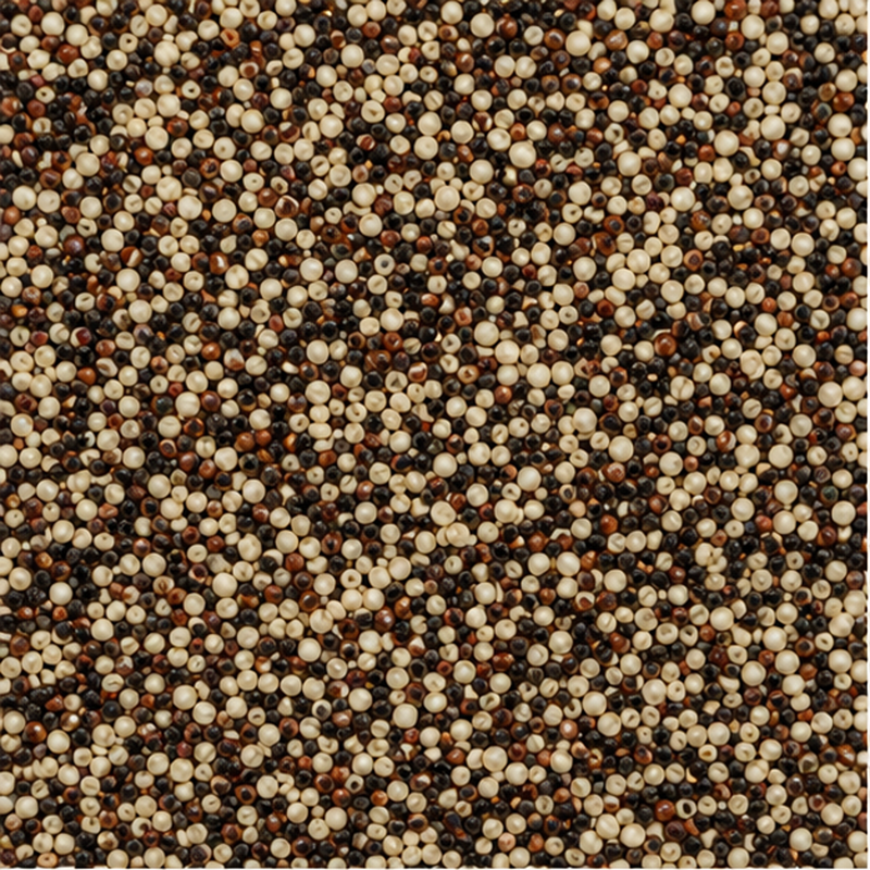 Infinity Foods Bulk Organic Tri-Colour Quinoa