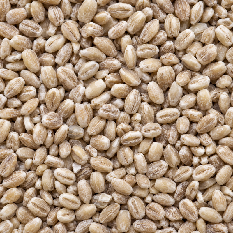 Infinity Foods Organic Pearl Barley