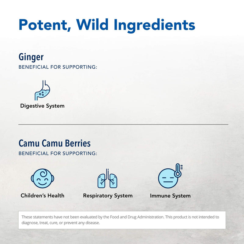 Inflam-EEZ by North American Herb & Spice - 90 VegiCaps | Immune & Inflammation Support