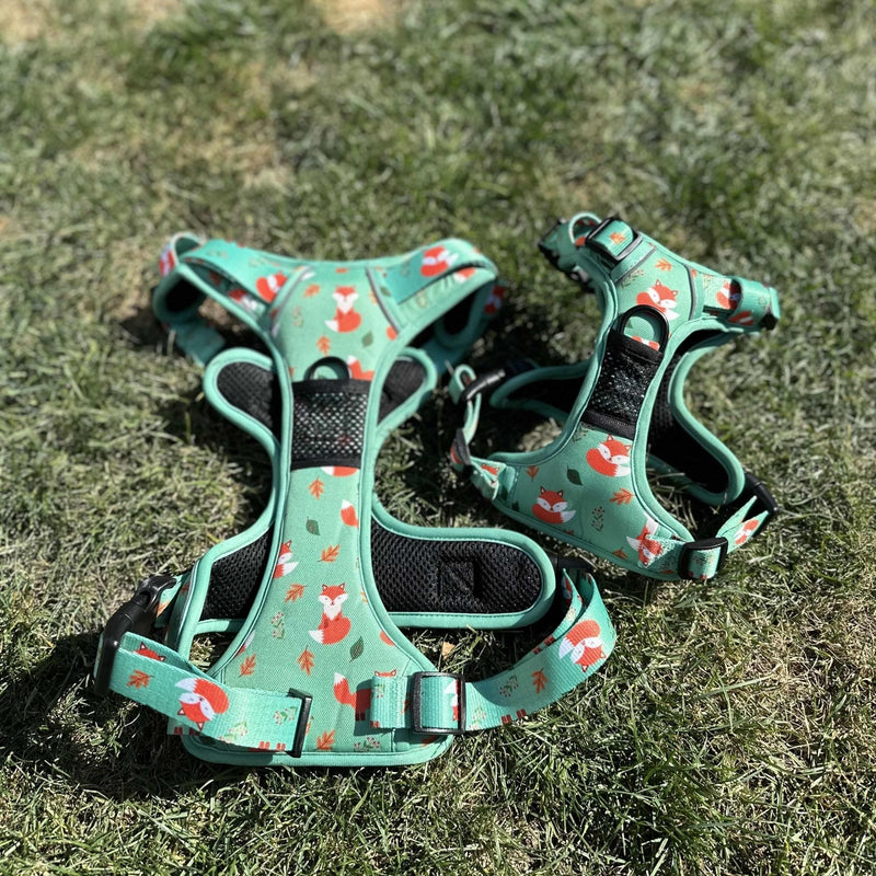 Inquisitive Fox No Pull Tactical Dog Harness – Green Fox Print, Adjustable, Step-In (XS-XL)