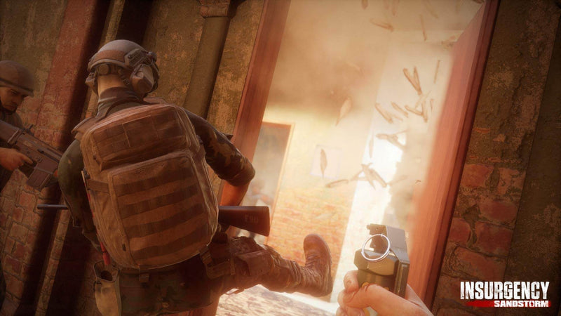 Insurgency Sandstorm PS4