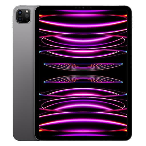 Refurbished iPad Pro 11 (2022) 256GB Wi-Fi Cellular  | Unlocked