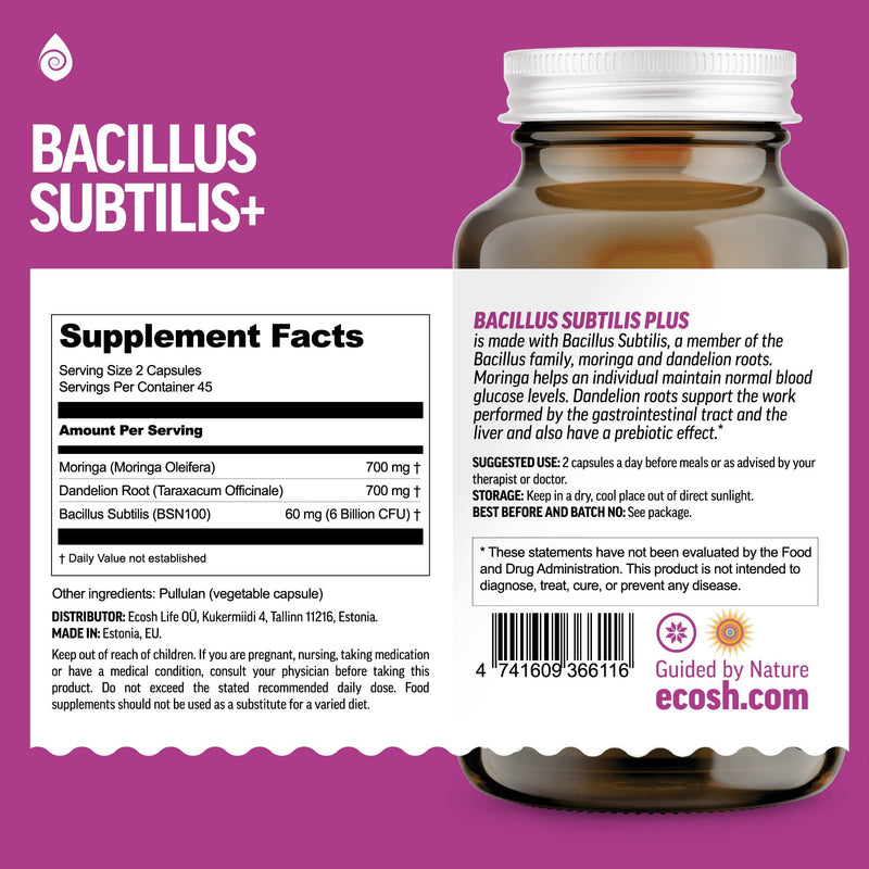 Bacillus Subtilis Spore Probiotic – 6B CFU, Prebiotic Support | 90 Veggie Capsules