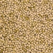 JJ Milletseed White French 20kg