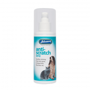JVP Anti-Scratch Pumpkin Spray 100ml - Case of 6
